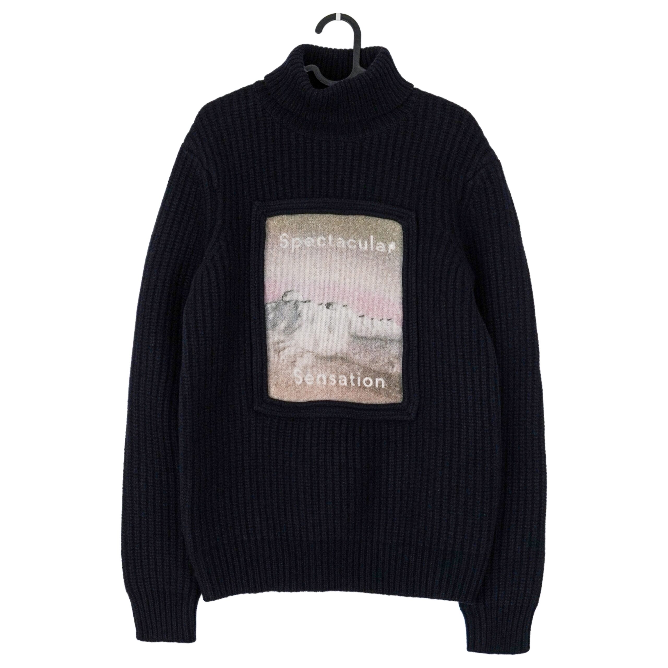 Acne Studios Spectacular Sensation Wool Turtleneck Sweater