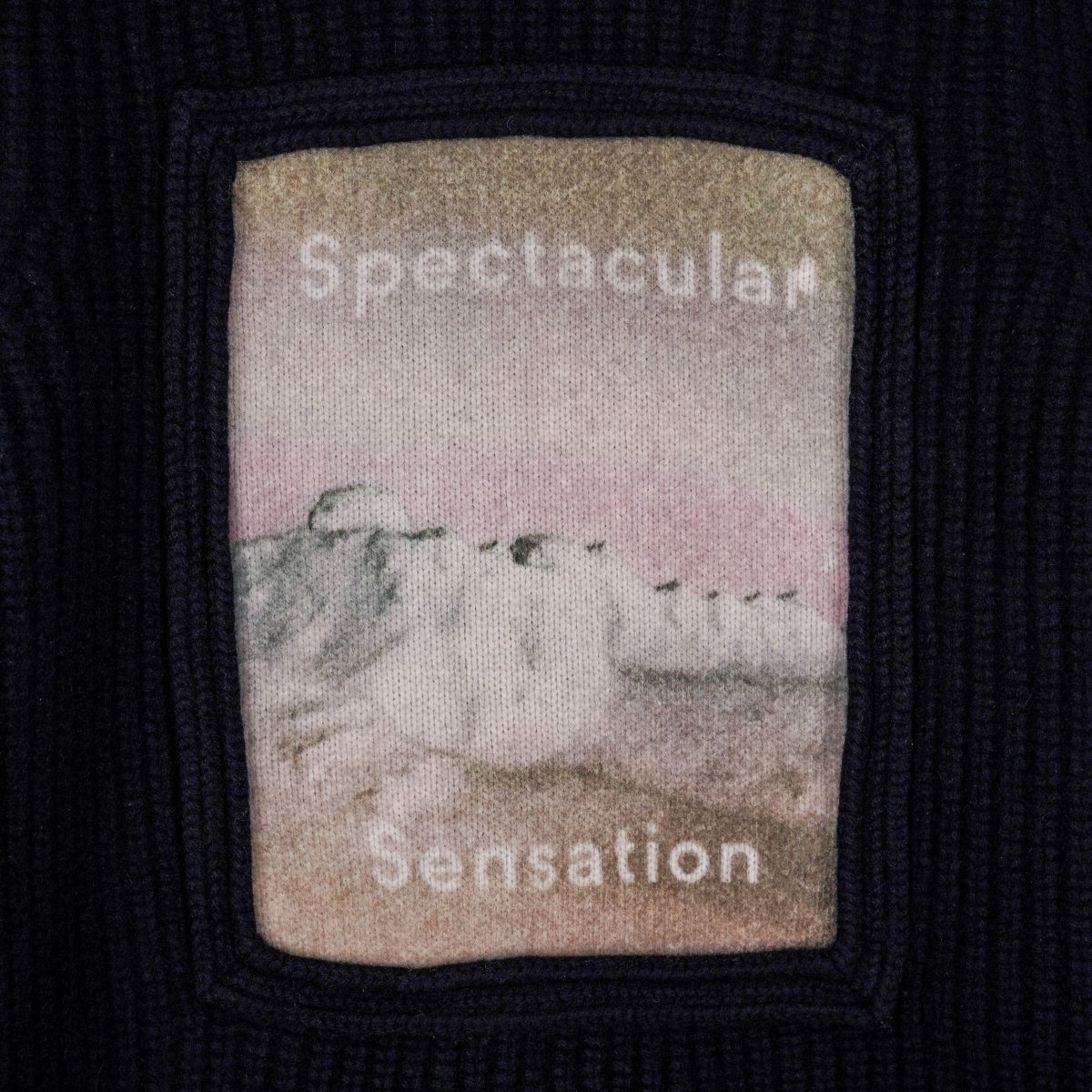 Acne Studios Spectacular Sensation Wool Turtleneck Sweater — photo 5