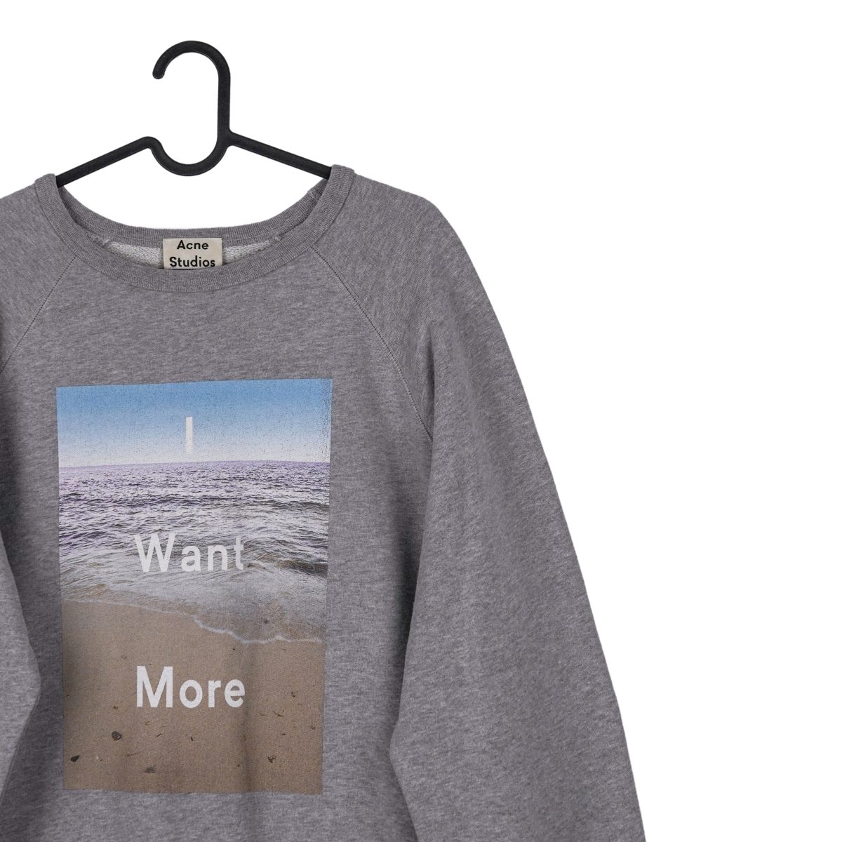 Acne Studios AW14 Gray I Want More Print Crewneck Sweatshirt — photo 3