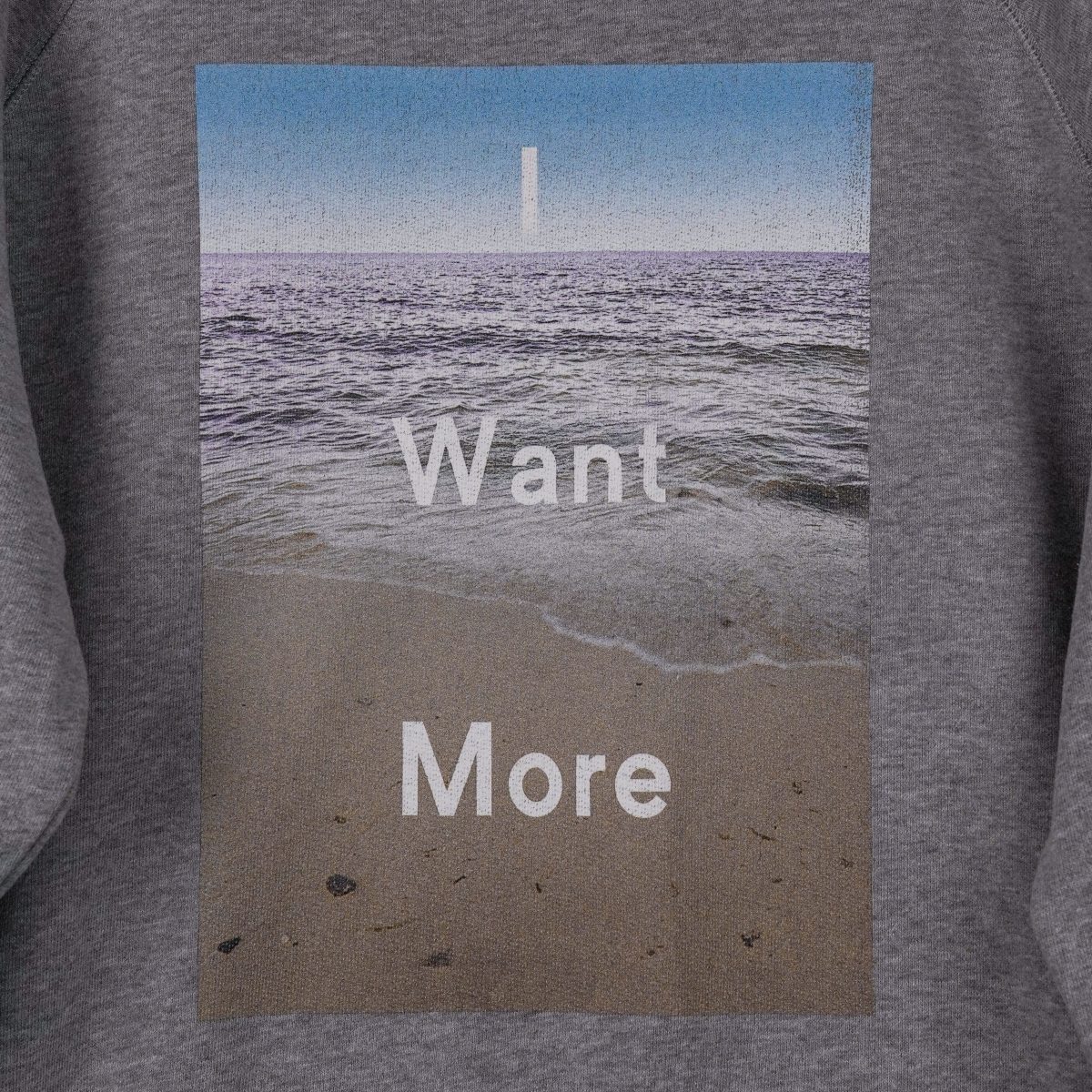 Acne Studios AW14 Gray I Want More Print Crewneck Sweatshirt — photo 4