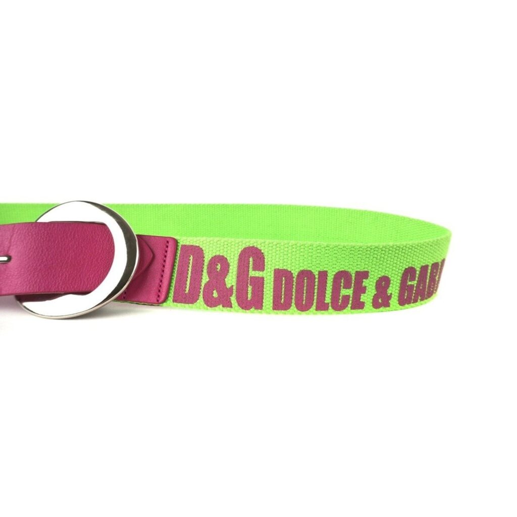 Dolce Gabbana Logo Green Pink Vintage Leather Canvas Belt — photo 2